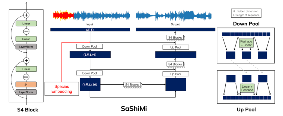 SaShiMi Architecture